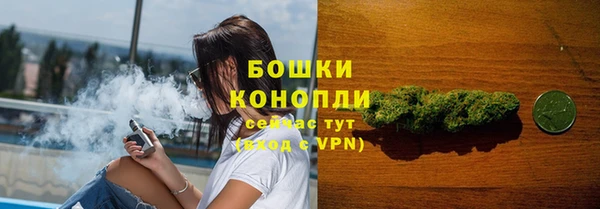 гидра Новокубанск