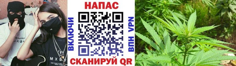 где купить KRAKEN tor Канабис AK-47 Кириллов
